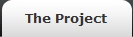 The Project
