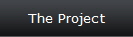 The Project